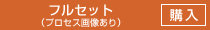 フルセット（プロセス画像あり）を購入